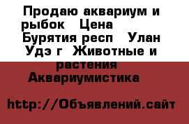 Продаю аквариум и рыбок › Цена ­ 2 000 - Бурятия респ., Улан-Удэ г. Животные и растения » Аквариумистика   